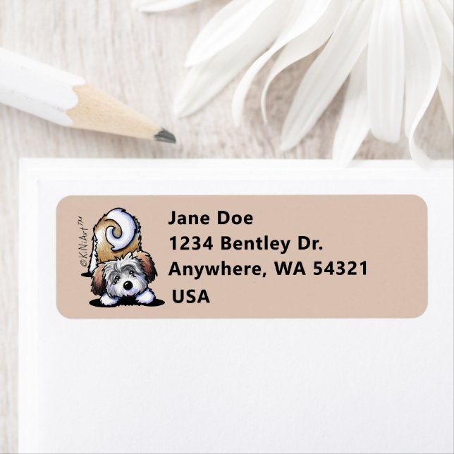 Etiqueta KiniArt Playful Havanese (In situ)