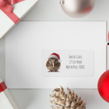 Kiwi personalizado lindo navideño con sombrero roj
