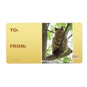 Etiqueta Koala Kitteh
