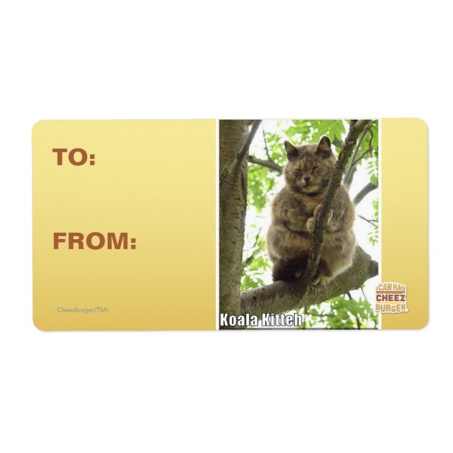 Etiqueta Koala Kitteh (Frente)