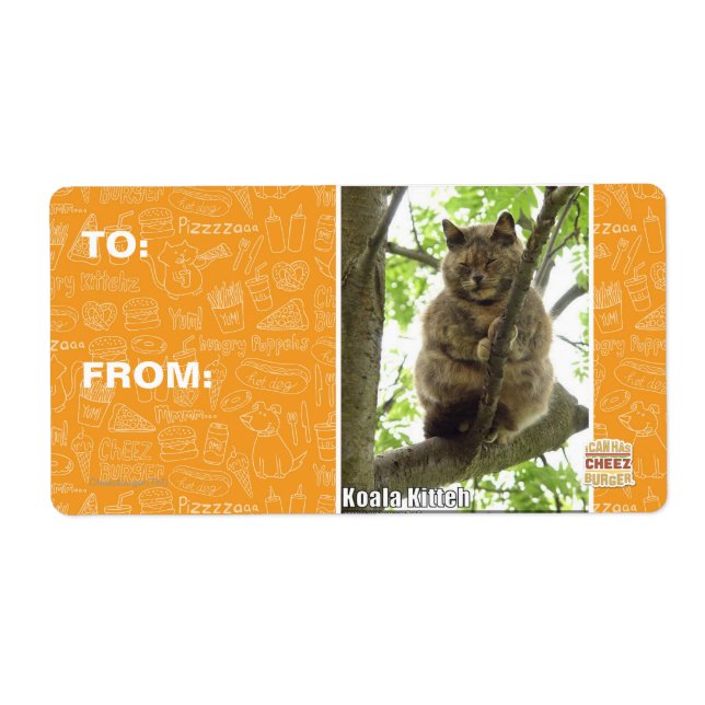 Etiqueta Koala Kitteh (Frente)