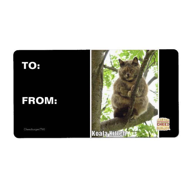 Etiqueta Koala Kitteh (Frente)