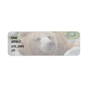 Etiqueta Kodiak Bear
