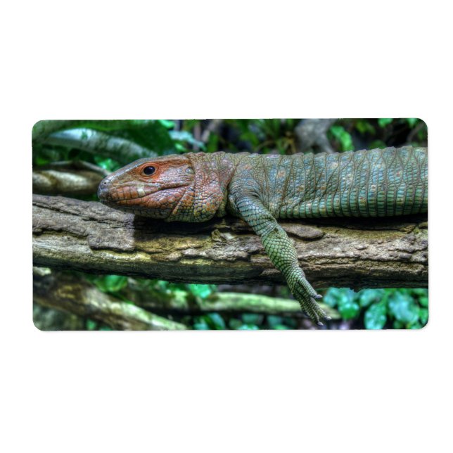 Etiqueta Krokodilteju (Frente)