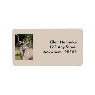Etiqueta Kudu del Gran