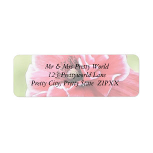 Etiqueta La amapola del coro del ángel rojo