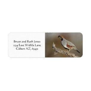 Etiqueta La codorniz de Gambel