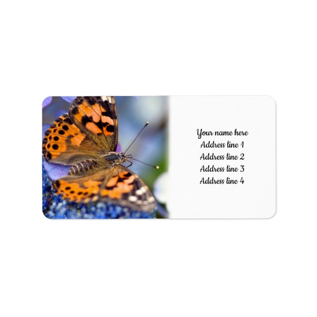 Etiqueta La mariposa de la dama pintada sobre una hidrangea (Frente)