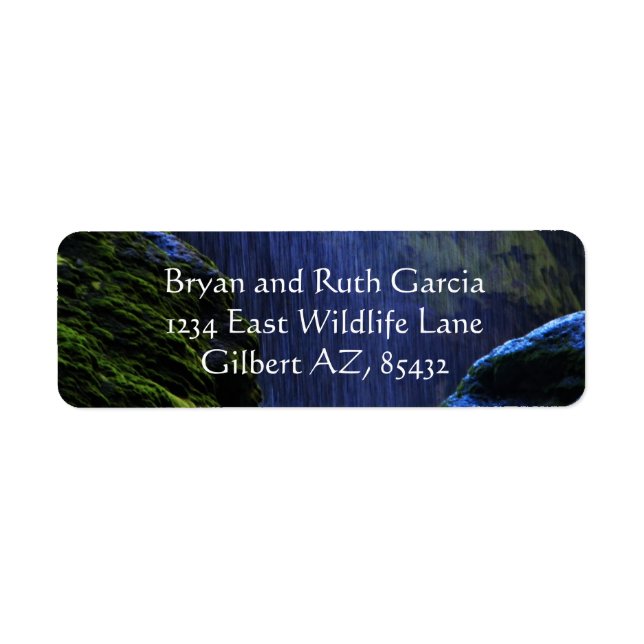 Etiqueta la paz en las caídas (Frente)