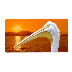 Etiqueta La puesta de sol estadounidense en Pelican White e