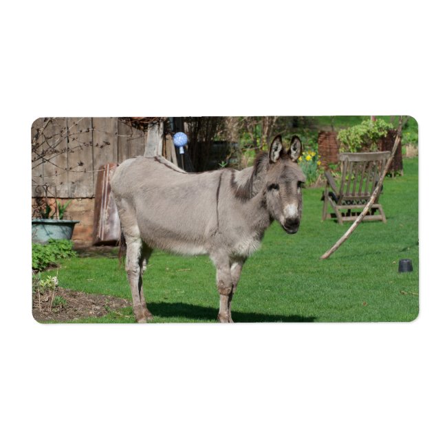 Etiqueta La vida rural aún con burro (Frente)