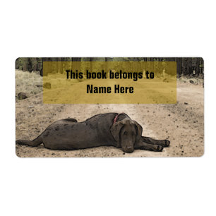 Etiqueta Laboratorio De Chocolate En Una Ruta Forestal