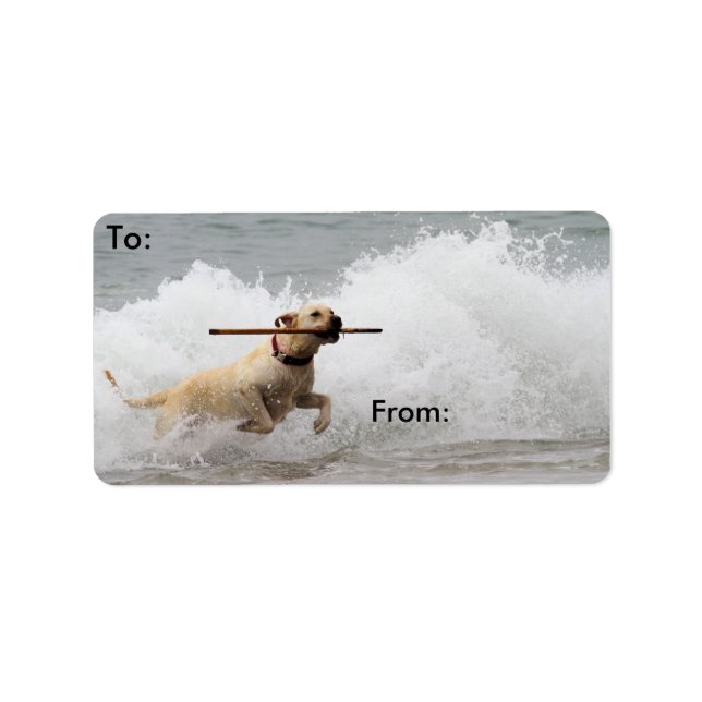 Etiqueta Labrador - Amarillo - ¡Ve a buscar! (Frente)