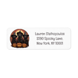 Etiqueta Labrador de Halloween perro Gorras de brujas