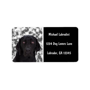 Etiqueta Labrador retriever negro