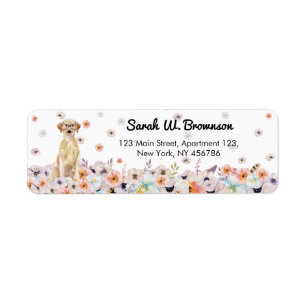 Etiqueta Labrador Retriever with eyeglasses