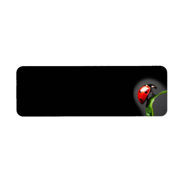 Etiqueta Ladybug (Frente)