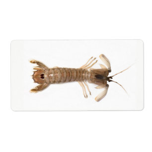 Etiqueta Langoustina
