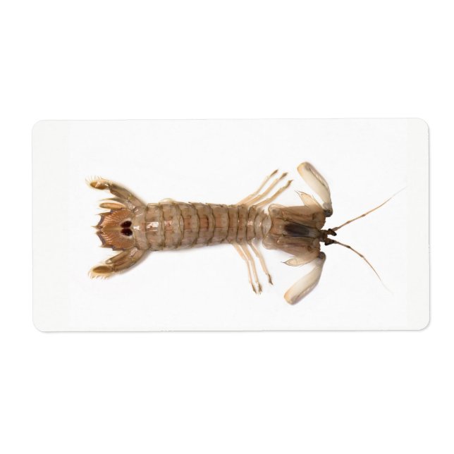Etiqueta Langoustina (Frente)