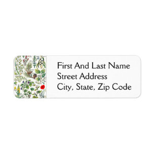 Etiqueta Larousse Pine Cone Tree Forest Art