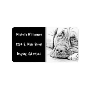 Etiqueta Lazy Mastiff