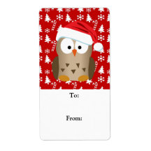 Lechuza navidad con Santa Hat