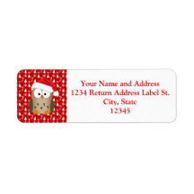 Lechuza navidad con Santa Hat