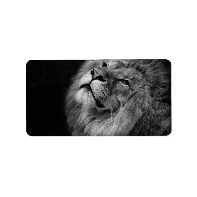 Etiqueta León Maravilloso (Frente)