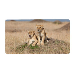 Etiqueta Leones jóvenes