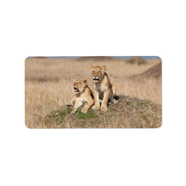 Etiqueta Leones jóvenes (Frente)