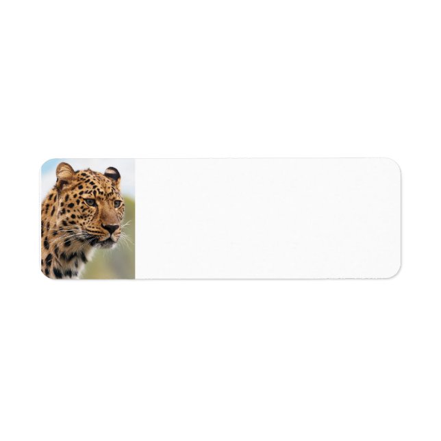 Etiqueta Leopard Wild Cats (Frente)