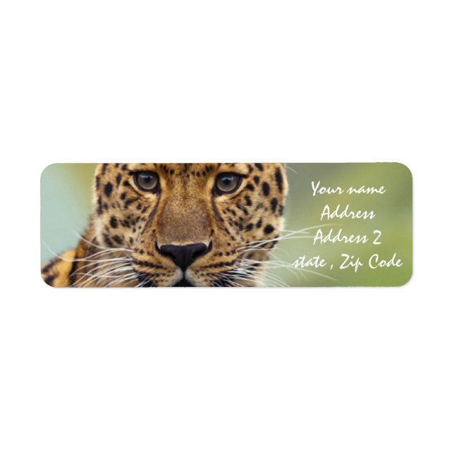 Etiqueta Leopardo (Frente)