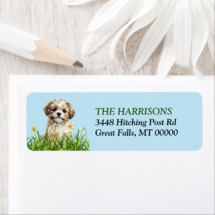 Etiqueta Lhasa Apso Puppy Daffodil Garden