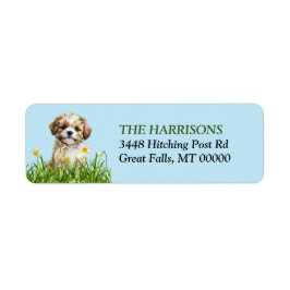 Etiqueta Lhasa Apso Puppy Daffodil Garden