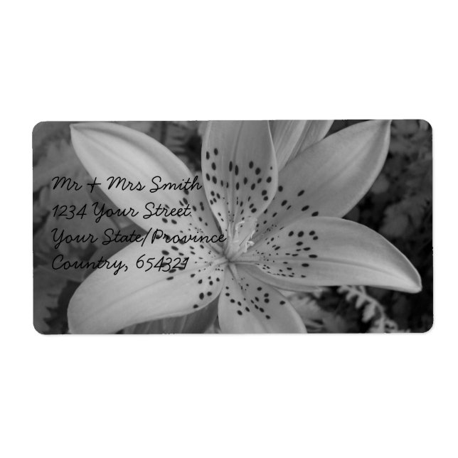 Etiqueta Lily norteamericana (Frente)