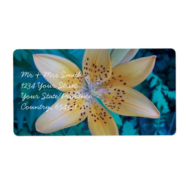 Etiqueta Lily norteamericana (Frente)