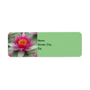 Etiqueta Lirio de agua de Lotus rosa