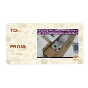 Etiqueta Llamar al 1-800-LOLCATS