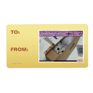 Etiqueta Llamar al 1-800-LOLCATS