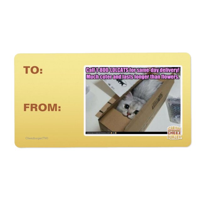 Etiqueta Llamar al 1-800-LOLCATS (Frente)