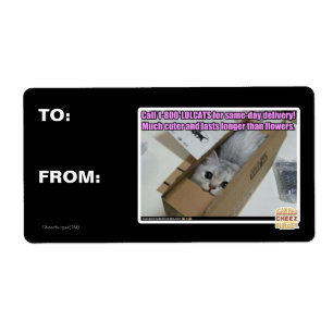 Etiqueta Llamar al 1-800-LOLCATS