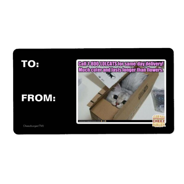 Etiqueta Llamar al 1-800-LOLCATS (Frente)