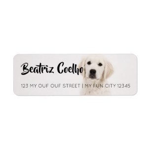 Etiqueta Llano decorativo temático del perro de perrito de