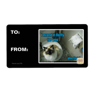 Etiqueta Lo hice a tientas pieles.