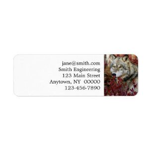 Etiqueta Lobo En Foliage De Otoño