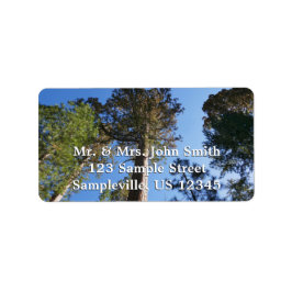 Etiqueta Looking Up at Mariposa Grove