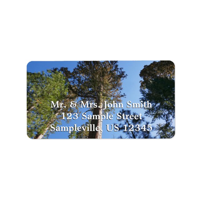 Etiqueta Looking Up at Mariposa Grove (Frente)