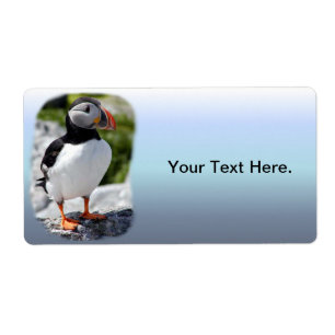 Etiqueta Los frailecillos de Alaska emplumaron pájaros