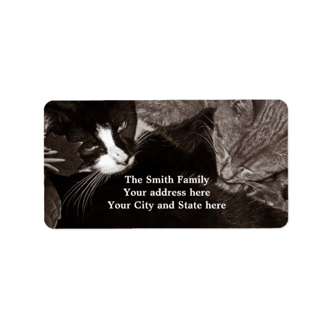 Etiqueta Los gatos Yin Yang (Frente)