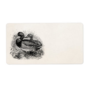 Etiqueta Los patos salvajes del pato silvestre del vintage